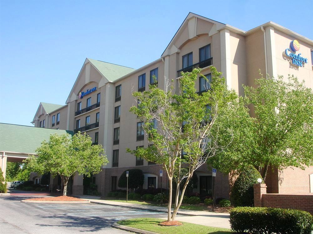 Comfort Inn Pensacola - University Area Ferry Pass Exterior foto